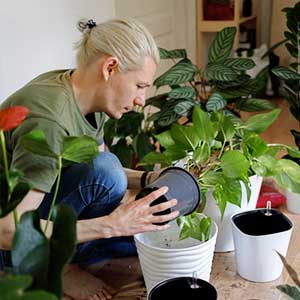 Inspiring Events at Winona horticultural Society