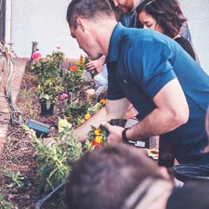 Find ways to participate in gardening at Winona horticultural Society