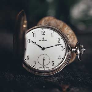 Timing matters in any garden